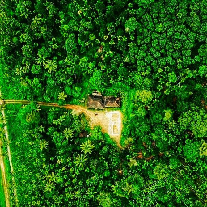 Swastha Plantation Homestay Kaniyāmbetta 外观 照片