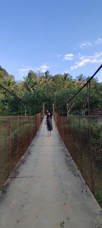 Swastha Plantation Homestay Kaniyāmbetta 外观 照片